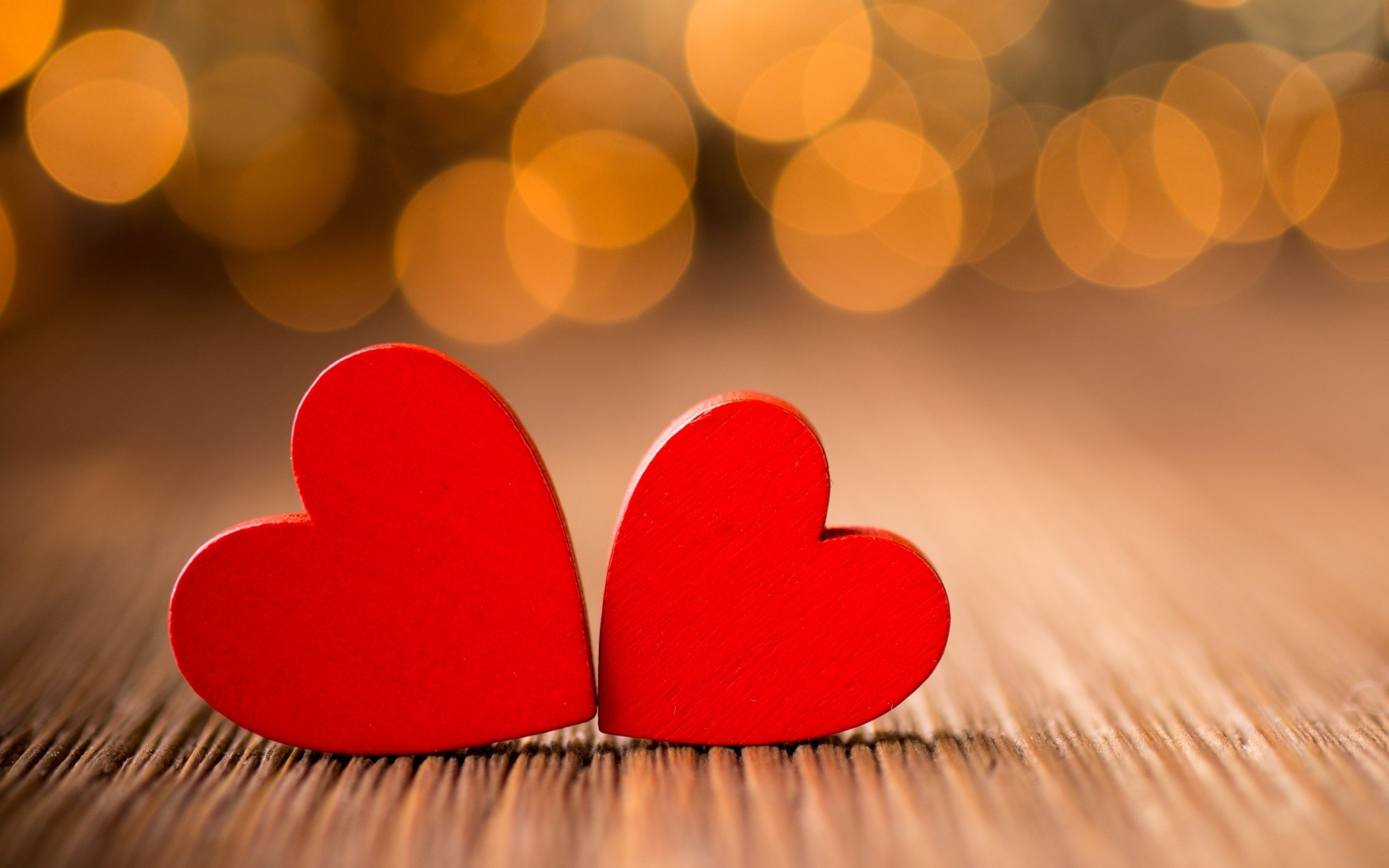 Bases biológicas del amor
