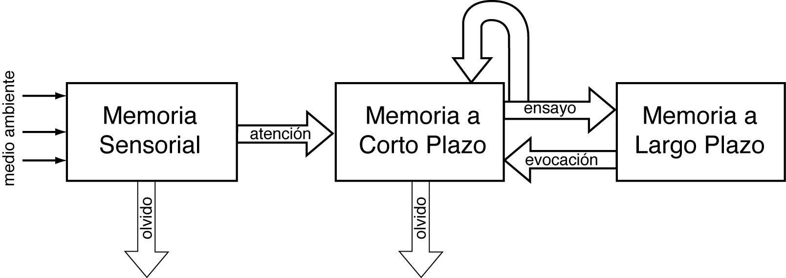 ARQUITECTURA COGNITIVA