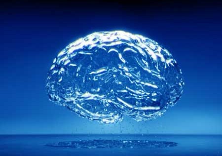 Relación Mente-Cerebro
