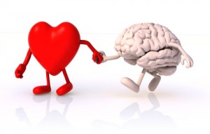 El corazón y el cerebro siempre van de la mano